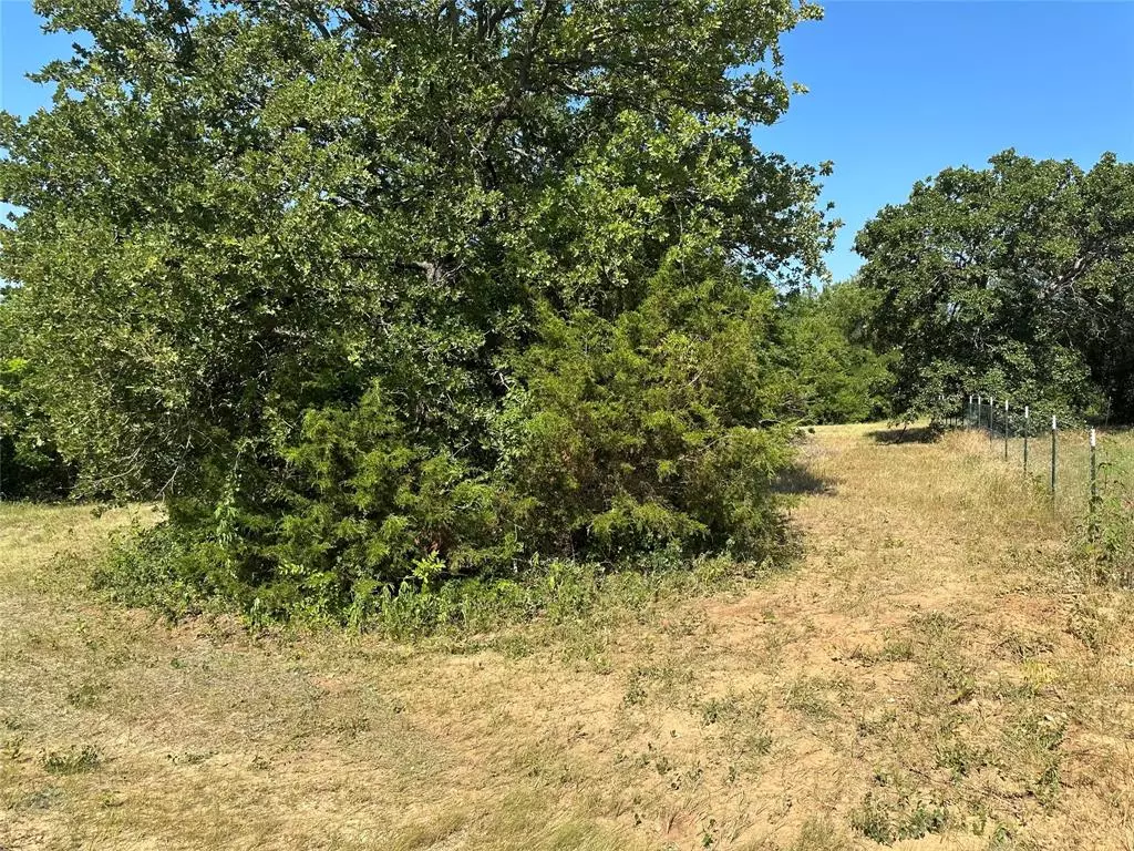 Boyd, TX 76023,TBD County Road 4599 Lot 4