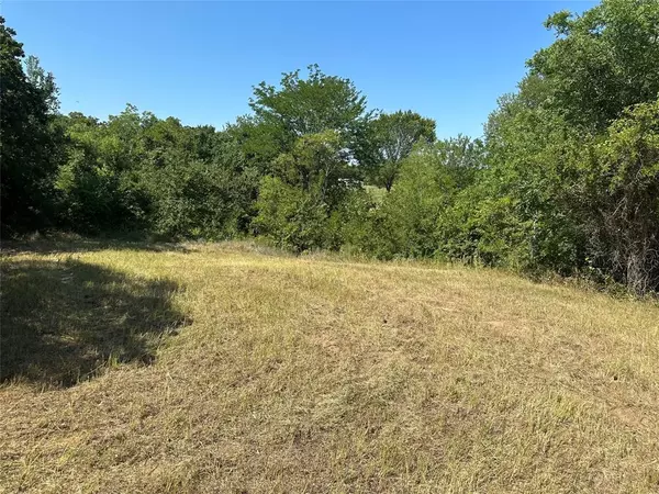 Boyd, TX 76023,TBD County Road 4599 Lot 4