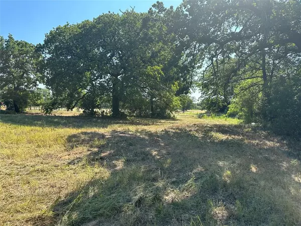 Boyd, TX 76023,TBD County Road 4599 Lot 4