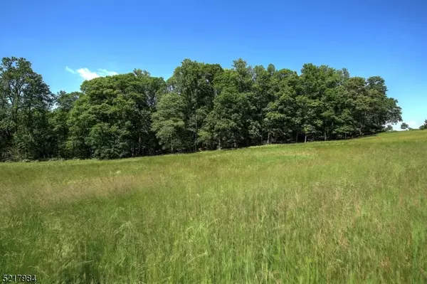 Mendham Twp., NJ 07945,2 Sutton Place, Lot 2