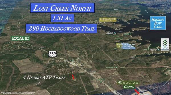 290 Hochadogwood Trail, Hochatown, OK 74728