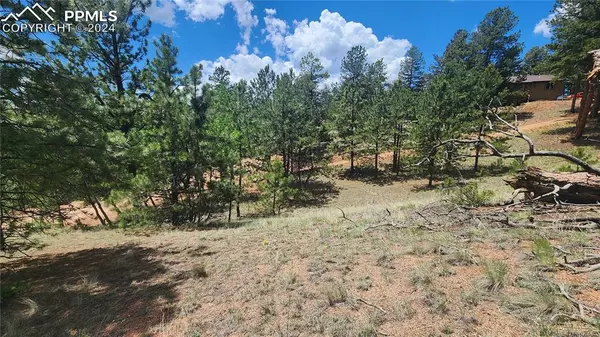 Florissant, CO 80816,822 Spring Valley LN