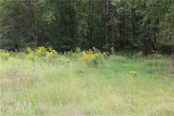 Summer Valley Road #Lot #1, West Penn Township, PA 17960