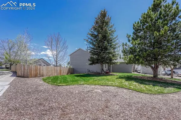 Colorado Springs, CO 80922,4865 Halter CT