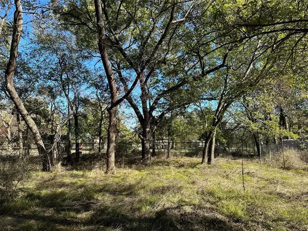 Newark, TX 76071,Lot 5 County Rd 4871