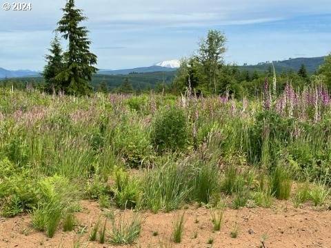 Castle Rock, WA 98611,329 Trailblazer LN