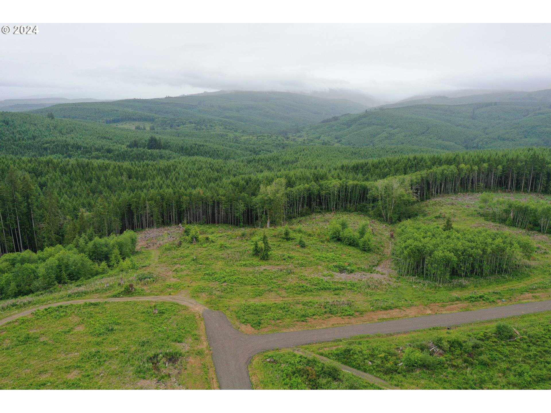 Castle Rock, WA 98611,329 Trailblazer LN
