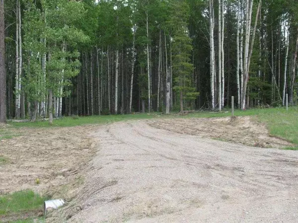 Rural Clearwater County, AB T4T 2A2,Cow Creek Road