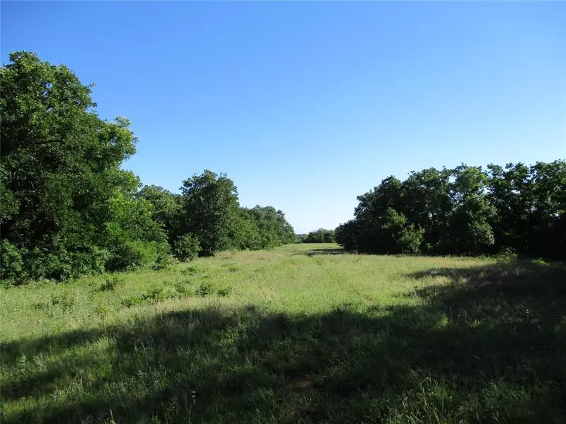 72 AC old Joy Shannon, Bluegrove, TX 76352