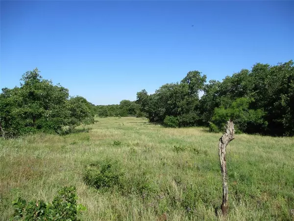 Bluegrove, TX 76352,72 AC old Joy Shannon