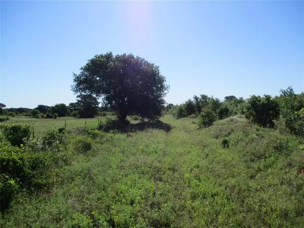 Bluegrove, TX 76352,72 AC old Joy Shannon