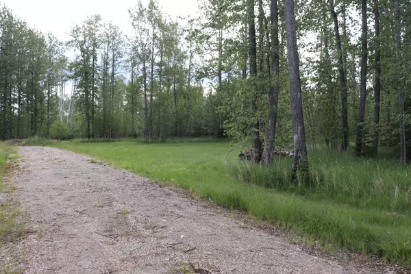 Rural Yellowhead County, AB T7E 3A6,16511 Township Road 532A Subdivision #18