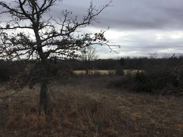 Paradise, TX 76073,00 PR 3353