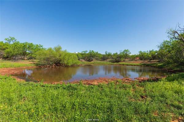 1 CR 121, Trent, TX 79561