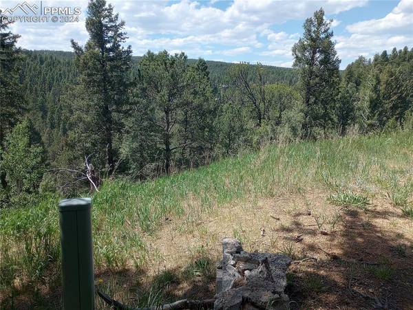 Woodland Park, CO 80863,138 Glenwood LN