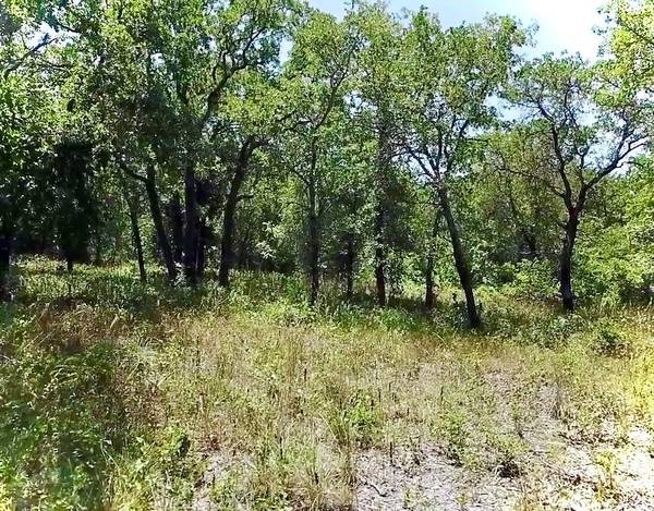 Alvord, TX 76225,245 Creek Crossing Street