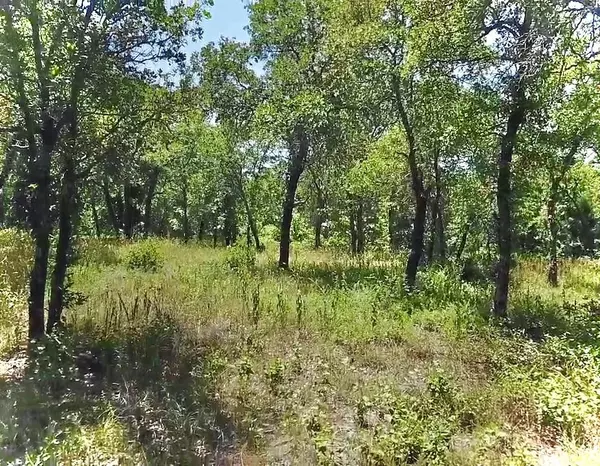 Alvord, TX 76225,245 Creek Crossing Street