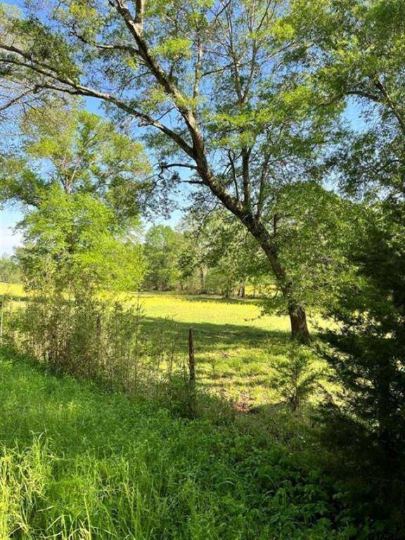 00 CR 3115 Listing #2, Frankston, TX 75763