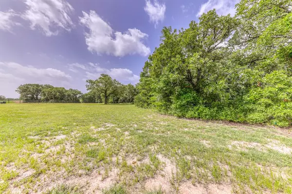 Paradise, TX 76073,134 Greenbrier Drive