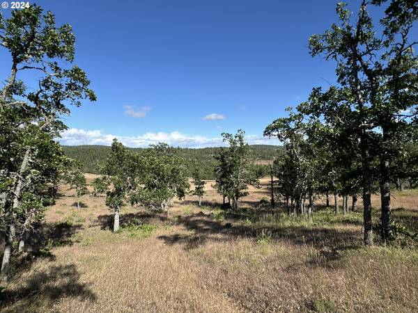 PINEY WOODS #4, Goldendale, WA 98620