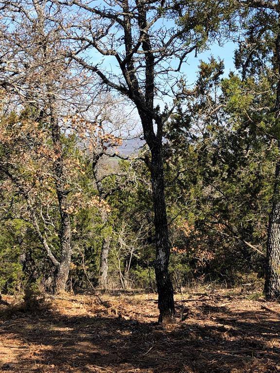 Santo, TX 76472,Lot 2 FM 2201 Lane