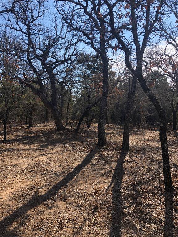 Santo, TX 76472,Lot 2 FM 2201 Lane