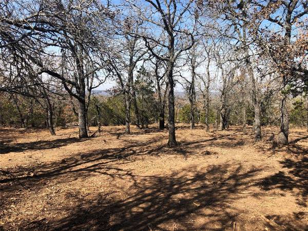 Santo, TX 76472,Lot 2 FM 2201 Lane