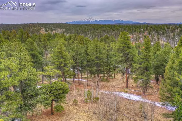 78 Blackhawk CIR, Florissant, CO 80816