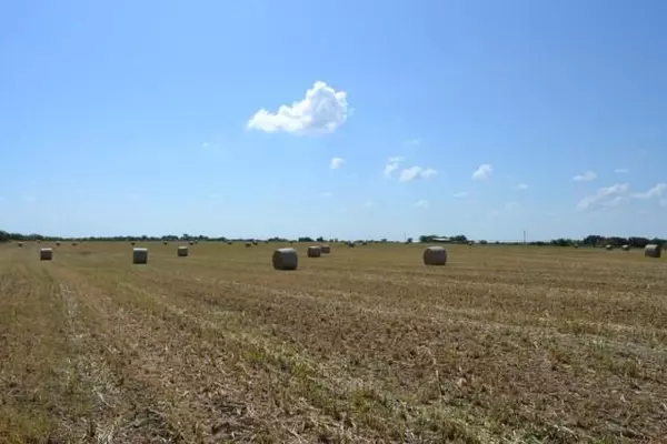 Dublin, TX 76446,TBD STATE HWY 6