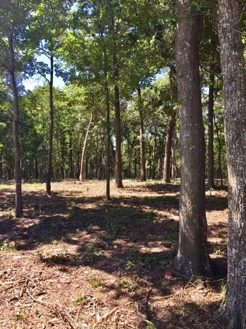 Quinlan, TX 75474,Lot 91 Open Water #Lot 91