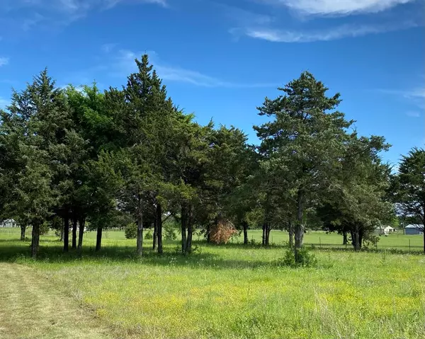 Valley View, TX 76272,Lot 2 FM 372