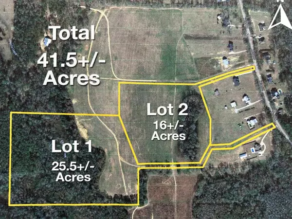 Rehobeth, AL 36301,16+/-ac National Rd (16+-ac)