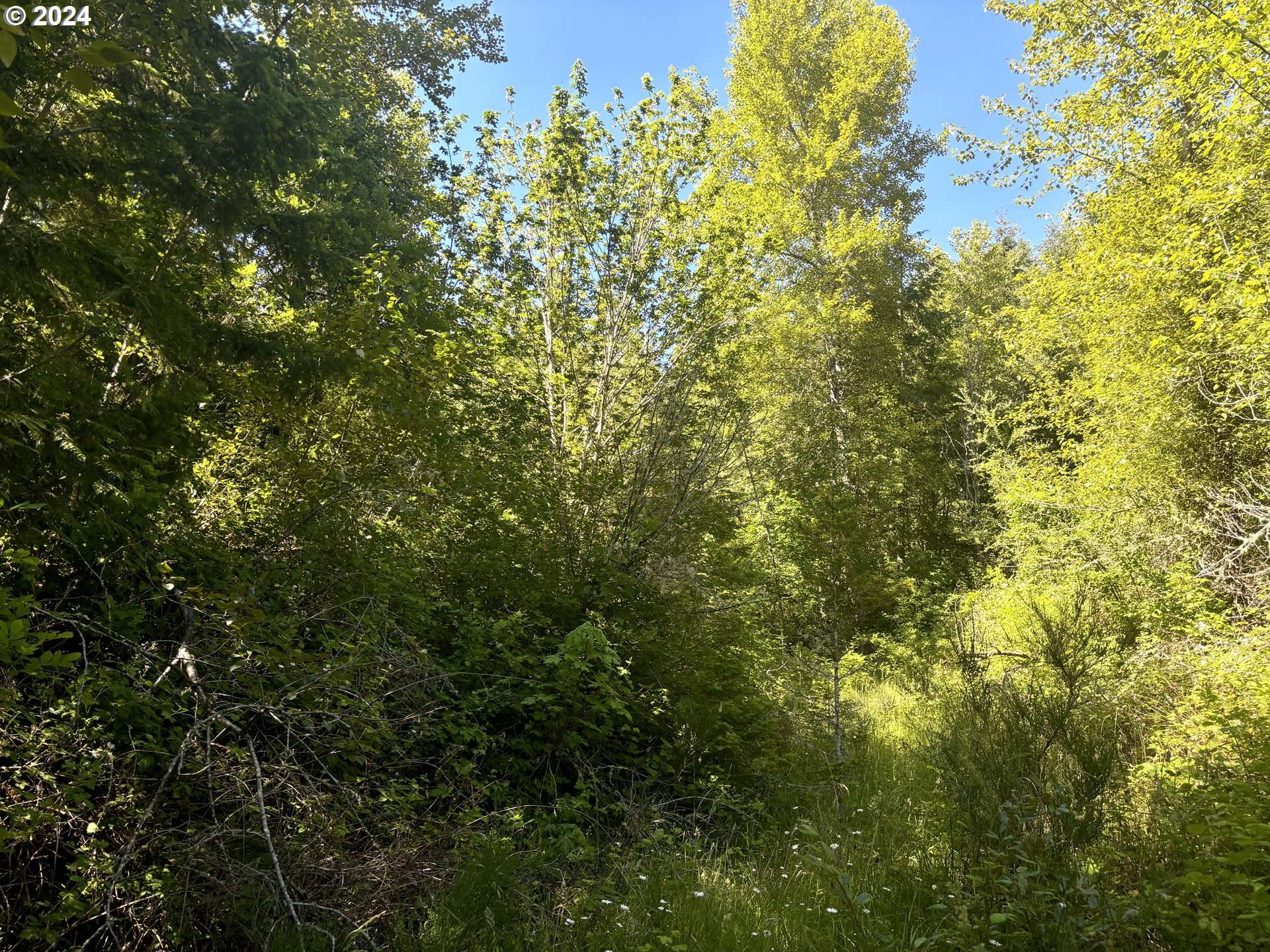 Cottage Grove, OR 97424,Perkins Creek RD