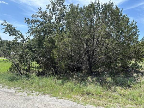 Granbury, TX 76048,2508 Elk Trail