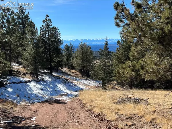 Cripple Creek, CO 80813,740 County Road 89