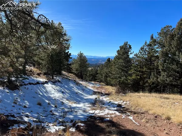 Cripple Creek, CO 80813,740 County Road 89