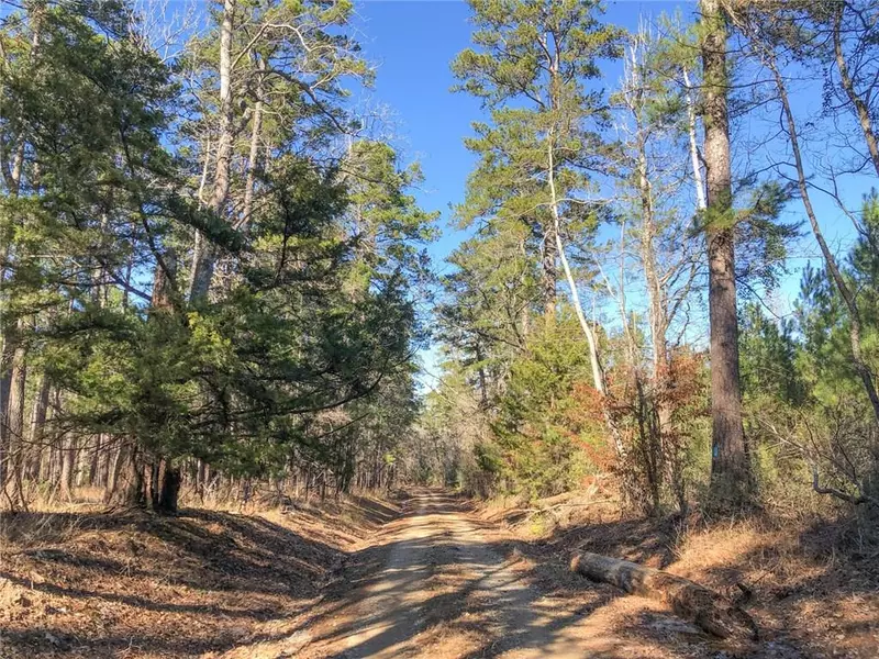 200 Ac USFS Rd 513, Kennard, TX 75847