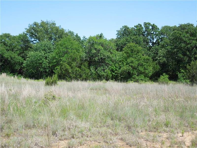 Lot 38 Paloma Court, Glen Rose, TX 76043