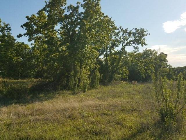 Lot 2 Falcon Drive, Glen Rose, TX 76043