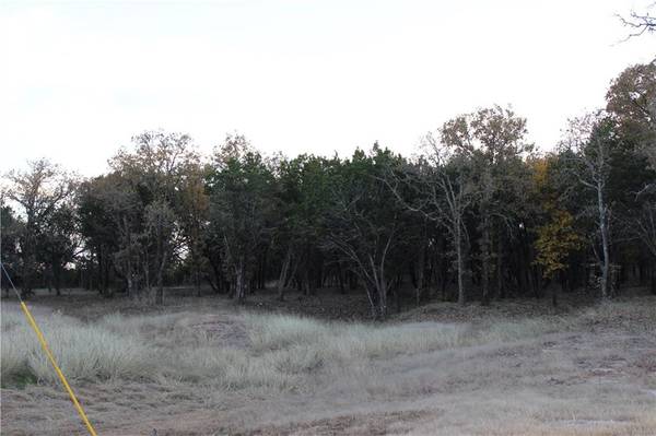 Lot 93 County Rd 2027,  Glen Rose,  TX 76043