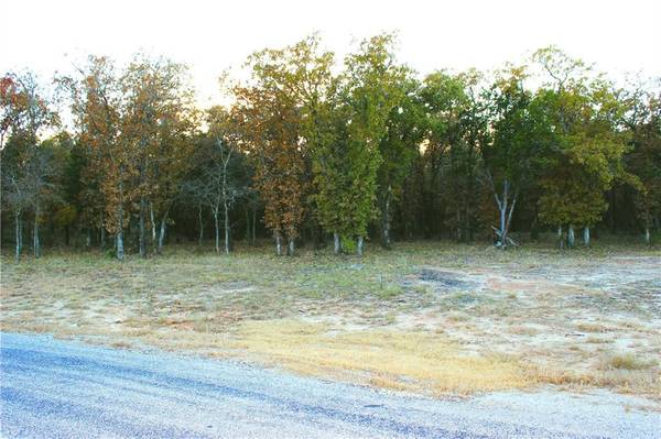 Lot 92 County Rd 2027, Glen Rose, TX 76043