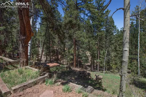 Woodland Park, CO 80863,56 Aspen DR