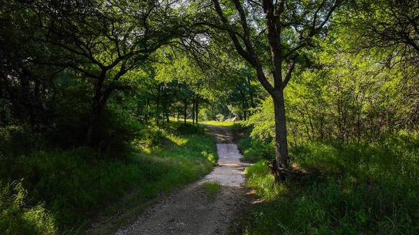 TBD Cement Mountain Road, Bryson, TX 76427