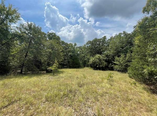 Lot 35 Sunset Boulevard, Quinlan, TX 75474