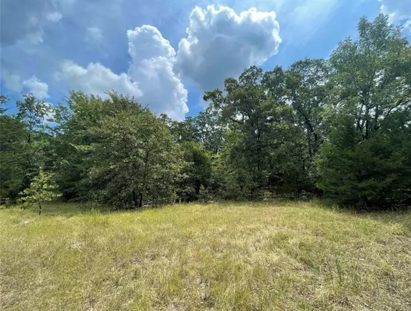 Quinlan, TX 75474,Lot 35 Sunset Boulevard