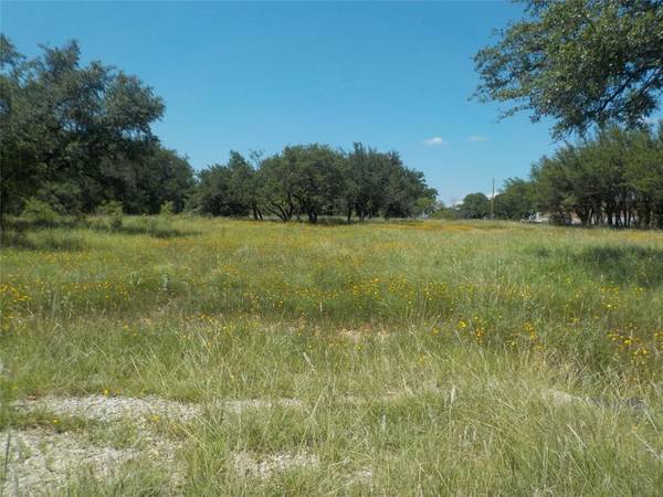 Brownwood, TX 76801,TBD Long View Drive