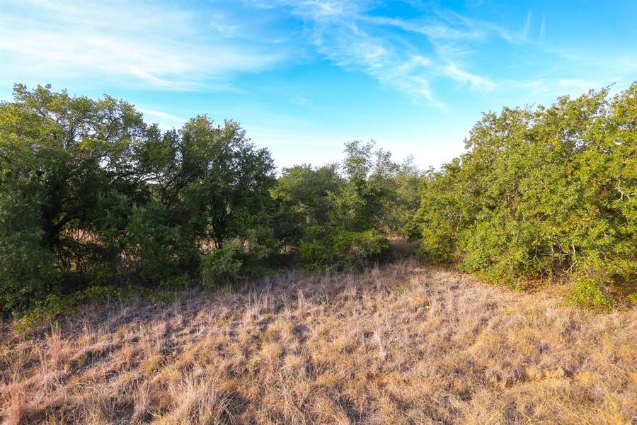 TBD Cigmo Court, Springtown, TX 76082