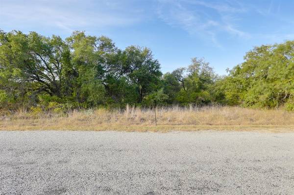 Springtown, TX 76082,TBD Cigmo Court