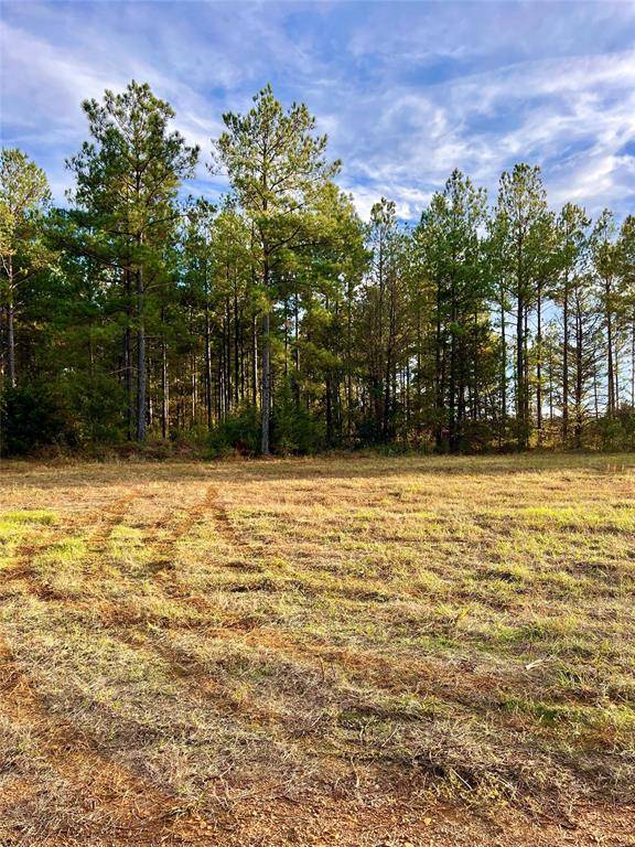 Avinger, TX 75656,TBD 161 Highway S