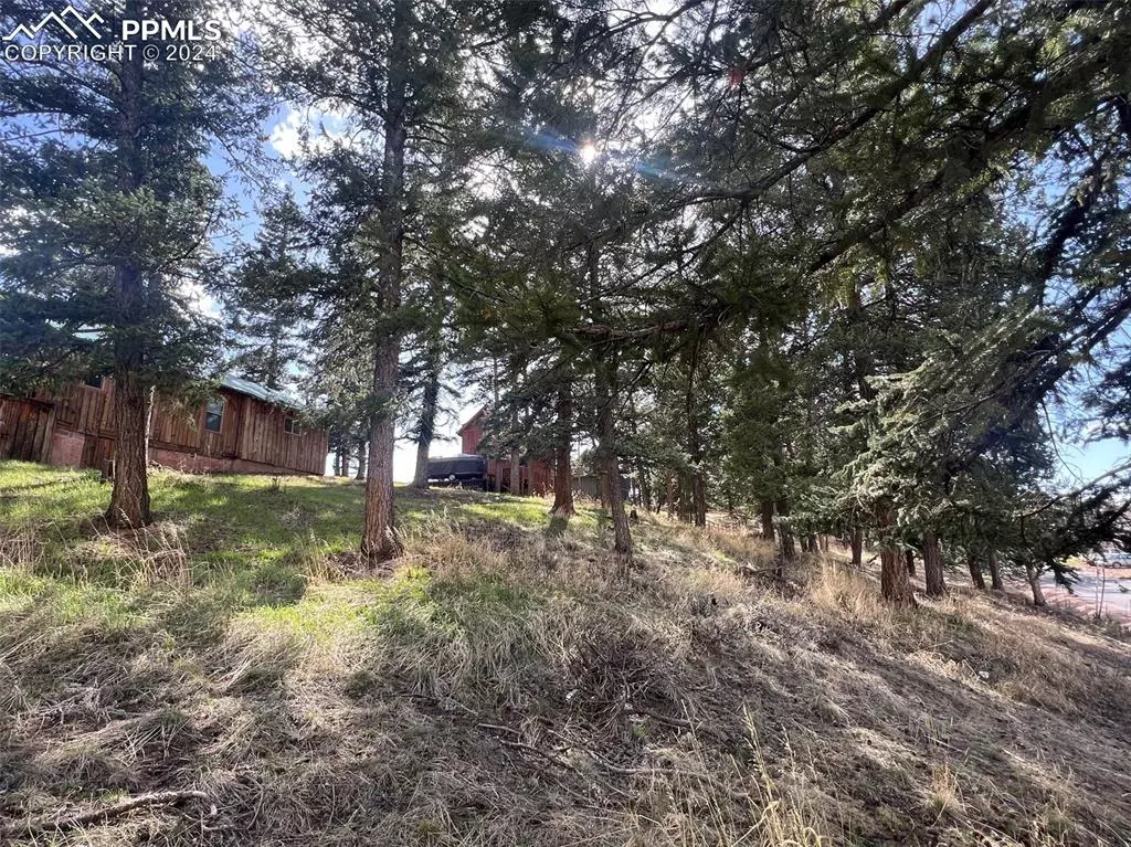 Woodland Park, CO 80863,0 Columbine AVE